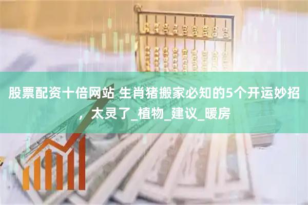 股票配资十倍网站 生肖猪搬家必知的5个开运妙招，太灵了_植物_建议_暖房