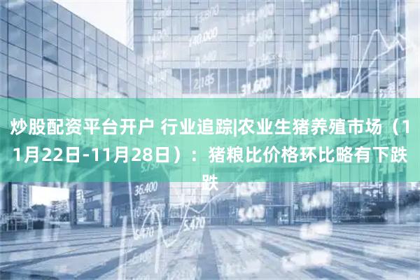 炒股配资平台开户 行业追踪|农业生猪养殖市场（11月22日-11月28日）：猪粮比价格环比略有下跌